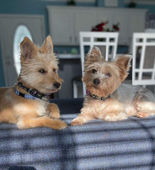 Bed and Breakfast Palm Bay ​